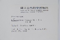 長春花藏品圖，第2張