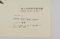 鱧腸藏品圖，第2張