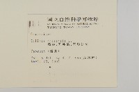 鱧腸藏品圖，第2張