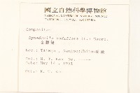 金腰箭藏品圖，第2張