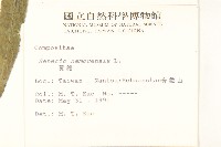 黃菀藏品圖，第2張