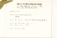 黃菀藏品圖，第2張