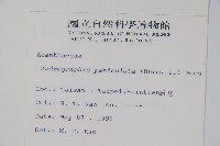 穿心蓮藏品圖，第2張