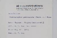 穿心蓮藏品圖，第2張