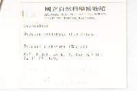 南美蟛蜞菊、三裂葉蟛蜞菊藏品圖，第2張