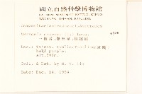 一枝香藏品圖，第2張