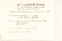 一枝香藏品圖，第2張