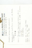 青牛膽藏品圖，第2張