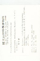 青牛膽藏品圖，第2張