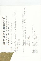 青牛膽藏品圖，第2張