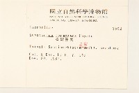 臺灣澤蘭藏品圖，第2張