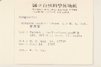 蔓澤蘭藏品圖，第2張