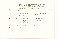 一枝黃花藏品圖，第2張