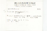 土丁桂藏品圖，第2張