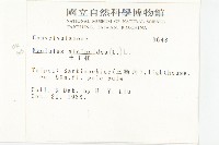 土丁桂藏品圖，第2張
