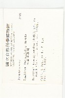 玉山山蘿蔔藏品圖，第2張