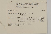 地膽草、毛蓮菜藏品圖，第2張