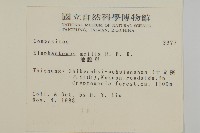 地膽草、毛蓮菜藏品圖，第2張