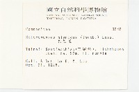 狗娃花藏品圖，第2張