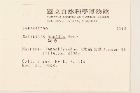 矮菊藏品圖，第2張