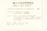 一枝香藏品圖，第2張