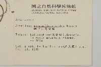 阿里山鬼督郵藏品圖，第2張