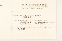 臺灣澤蘭藏品圖，第2張