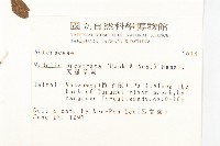 天蓬草舅藏品圖，第2張