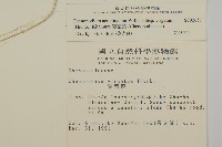 變葉藜藏品圖，第2張