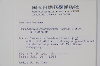 多子漿果莧藏品圖，第2張