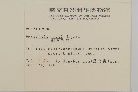 太魯閣艾藏品圖，第2張