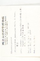 薯豆藏品圖，第2張