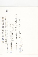 山紅柿藏品圖，第2張