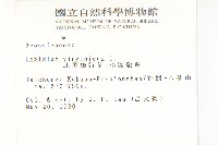 獨行菜藏品圖，第2張
