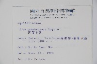 圓葉冬青藏品圖，第2張