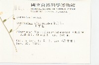 土丁桂藏品圖，第2張