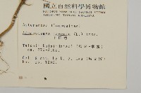 下田菊藏品圖，第2張