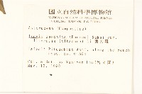 剪刀股藏品圖，第2張