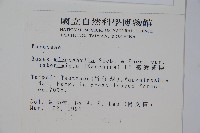 臺灣黃楊藏品圖，第2張