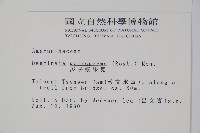 多子漿果莧藏品圖，第2張