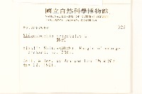 豨薟藏品圖，第2張