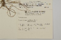 臺灣鬼督郵藏品圖，第2張