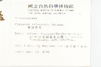 臺灣馬桑藏品圖，第2張
