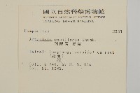 茵蔯蒿藏品圖，第2張