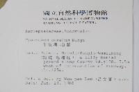 牛皮消、白薇藏品圖，第2張