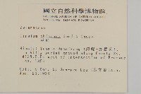 華薊藏品圖，第2張