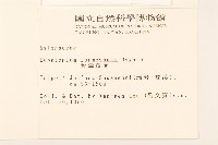 臺灣澤蘭藏品圖，第2張