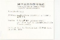 厚葉牽牛藏品圖，第2張