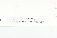 厚葉牽牛藏品圖，第3張