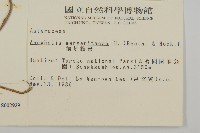 玉山抱莖籟簫藏品圖，第2張